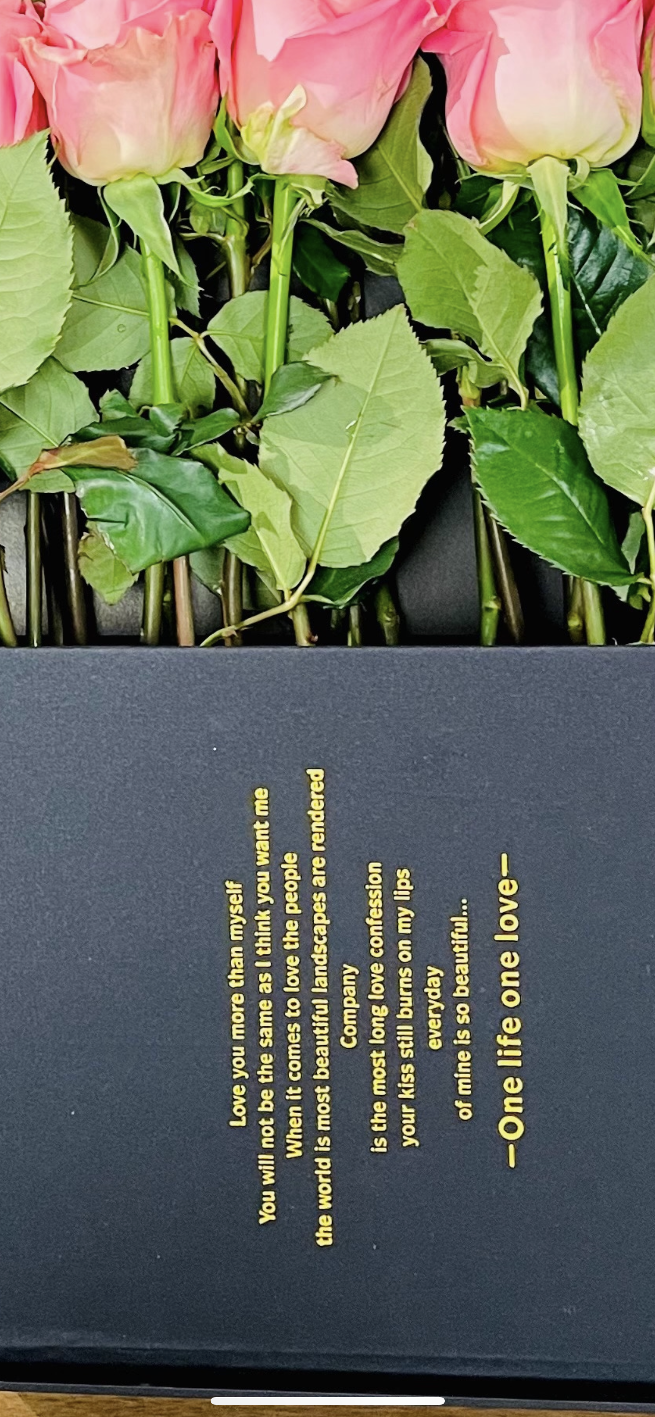 Valentine’s Day Roses