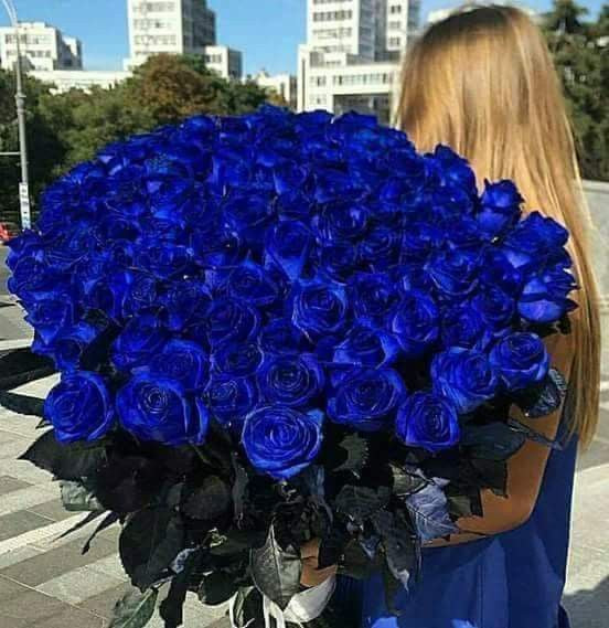 Blue Roses: Unveiling the Enigmatic Beauty - Floral Fashion Boutique