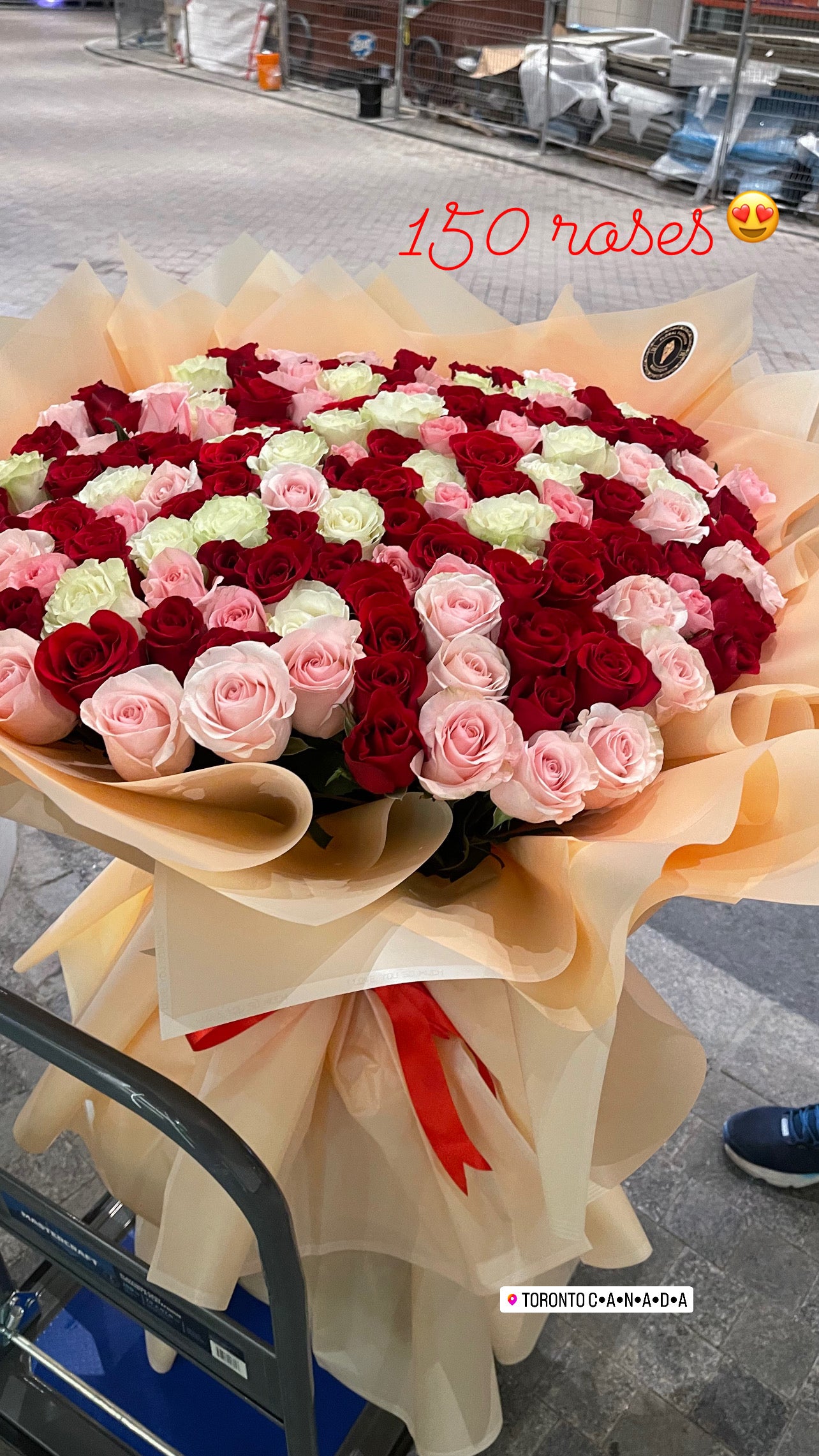 150 Roses giant bouquet