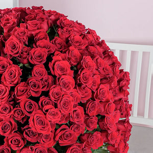 365 Red Roses Stand / Flower stand