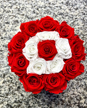 Load image into Gallery viewer, Red &amp; white
