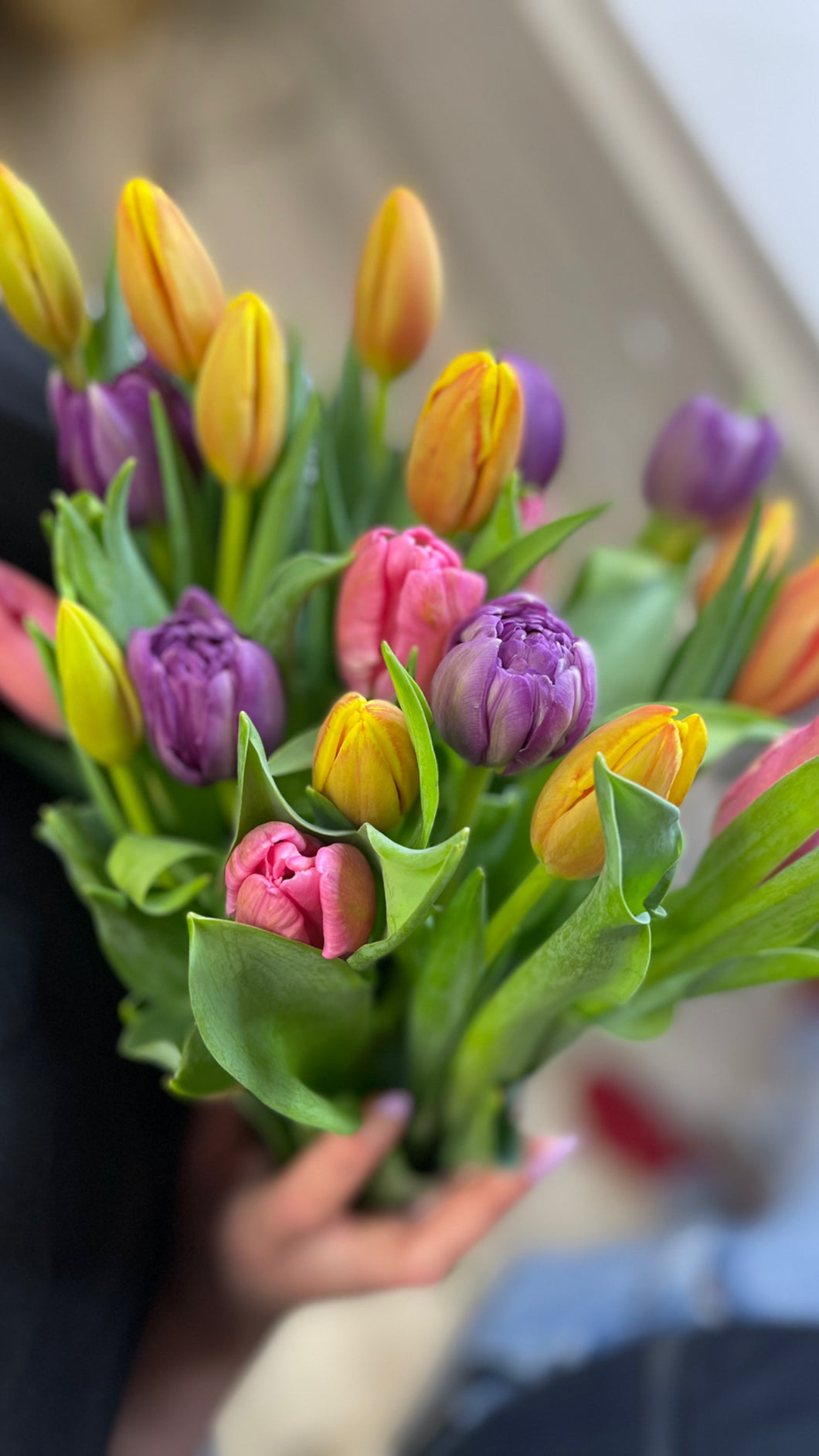 Tulips bouquet