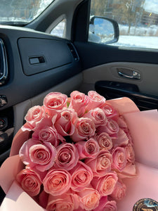 Pink roses